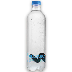 Acqua Frizzante 0,50cl